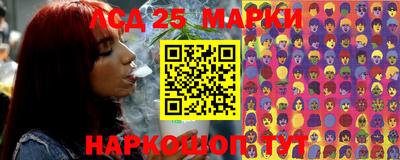apvp Свободный