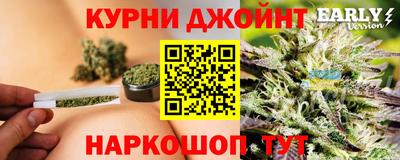 молекула духа Сланцы