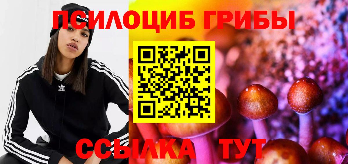 Сыктывкар  Галлюциногенные грибы MAGIC MUSHROOMS  Вход с VPN 